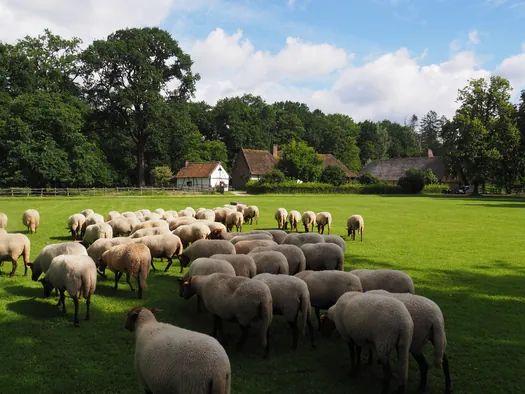 Openluchtmuseum Bokrijk (België)
